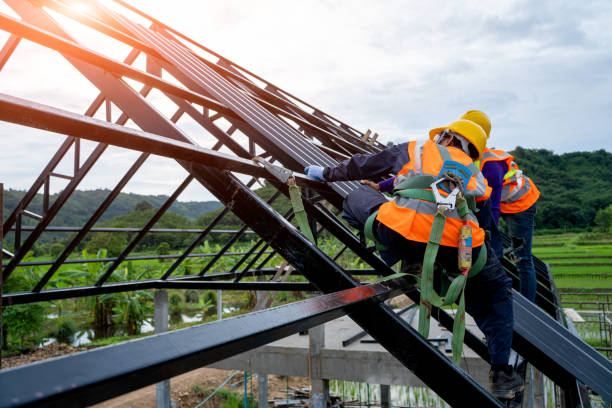 Roof Gutter Cleaning in Lake Holiday, IN