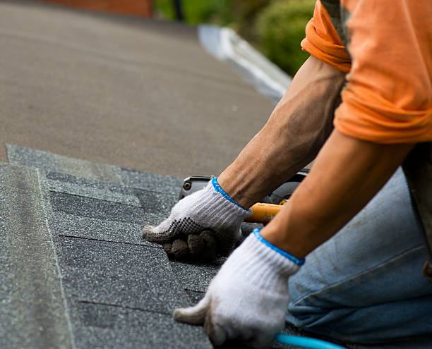 Best Residential Roofing Contractor  in Lake Holiday, IN